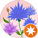 Angélique VARDAVOIR